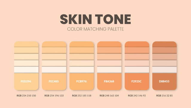 Skin Tone Chart Images – Browse 933 Stock Photos, Vectors, and Video |  Adobe Stock