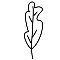 Vector Leaf Sketch