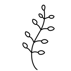 Vector Leaf Sketch