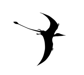 silhouette of a pterosaur on a white background