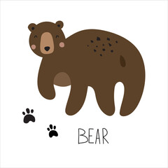 Animal card BEAR for kids. Educational preschool cards for learning animals. Learn animal name for kids.