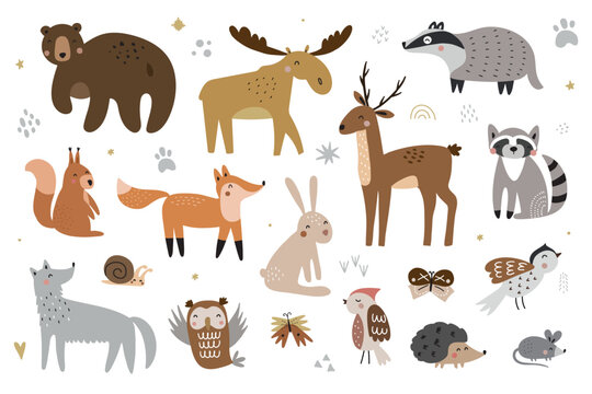 Set of cute forest animals isolated on white background. Vector illustration for your design