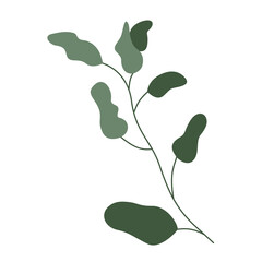 leaves isolated on white