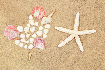 Fototapeta na wymiar Heart of conch and white shells, starfish on sand. Valentine's day, travel, vacation