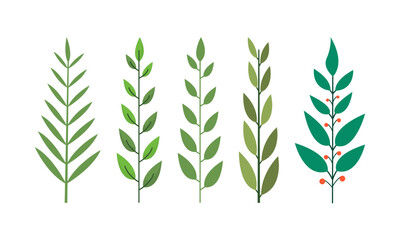 Obraz premium Set of hand drawn tropical branches leaves illustration, decorative nature leaves element.