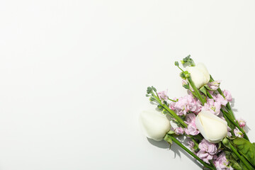 Concept of greeting, 8 march, Womans day, space for text