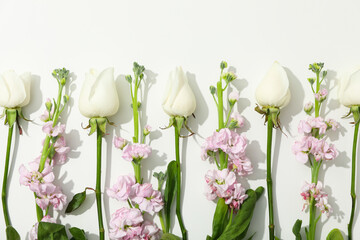 Concept of greeting, 8 march, Womans day, space for text