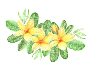 Watercolor Yellow Plumeria Flowers and leaves. Hand-drawn watercolor composition for romantic design, weddings.