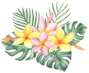 Fototapeta na wymiar Watercolor tropical plumeria bouquet frangipani composition with palm leaves and monstera on white background