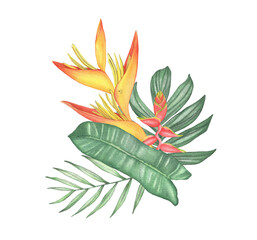 Watercolor tropical strelitzia bouquet composition with palm leaves on white background