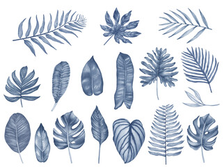Watercolor set of Blue tropical leaves. Illustration of tropical leaf, tropical greenery