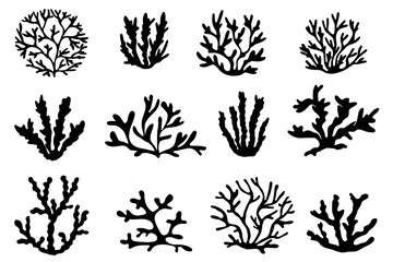 Sea corals and algae black silhouette