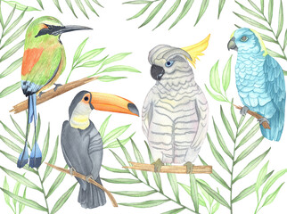 Watercolor parrot, toucan and birds in tropical leaves. Illustration with tropical birds and palm leaves