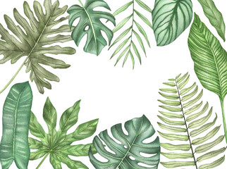 Watercolor Frame of tropical leaves. Illustration of tropical leaf, tropical greenery
