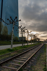 Fototapeta premium Frankfurt Ostend in spring time