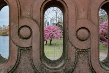 Frankfurt am Main in spring with blooming trees