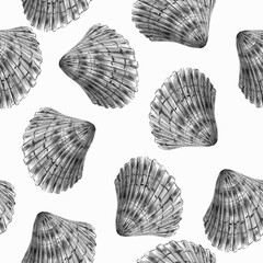 Seamless black and white pattern with seashells. Hand drawn sketch style illustration.