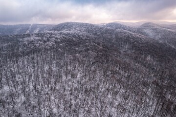 Aerial view of a forest covered in snow, in a mountainous rural area, from Romania. Captured with a drone, in winter conditions.
