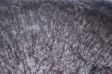 Aerial view of a forest covered in snow, in a mountainous rural area, from Romania. Captured with a drone, in winter conditions.
