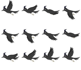Flying crow with wizards hat.2D cartoon sprite sheet animation for video games.Black crow and blue colored wizard/witches hat on head.
