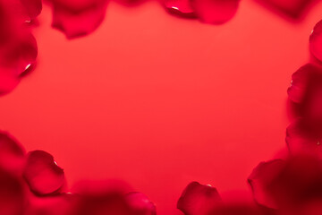 Valentines day greeting card template with rose petals