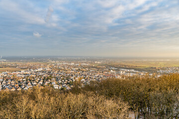 In the City Forest of Hofheim am Tanus