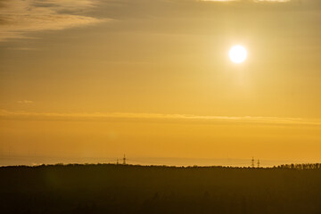 In the City Forest of Hofheim am Tanus
