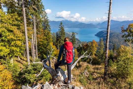 Germany, Bavaria, Female hiker looking toward Walchensee Lake seen from summit in Ester Mountains
