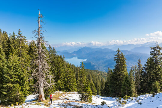 Germany, Bavaria, Female hiker looking toward Walchensee Lake seen from summit in Ester Mountains