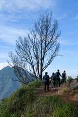 hiking in the mountains, hiking in the forest. Banyuwangi, East Java.