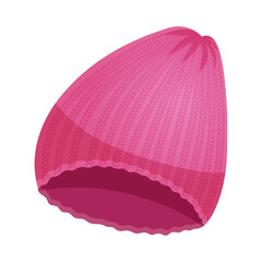Winter Pink Hat Composition