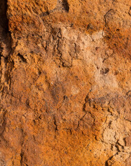 Sedimentary rocks with a high content of iron oxide. Red soil, loam. The texture of the soil.