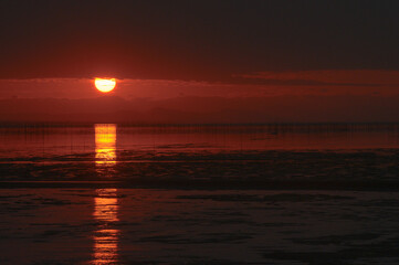 Obraz premium 干潟の夕景