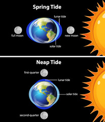 Diagram showing earth tides