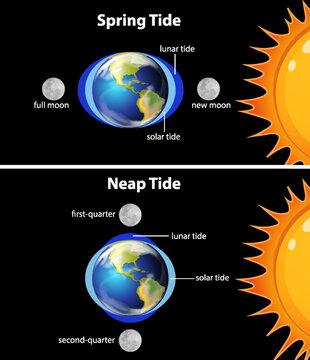 Diagram showing earth tides