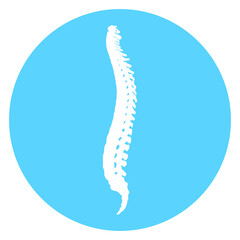 spine icon