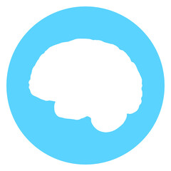 brain icon