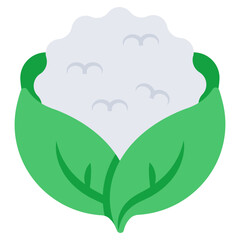 Perfect design icon of cauliflower 