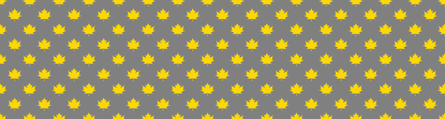 pattern of yellow maple leaves on a gray background. template for application to the surface. Horizontal image. Banner for insertion into site.