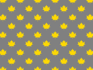 Fototapeta na wymiar pattern of yellow maple leaves on a gray background. template for application to the surface. Horizontal image.