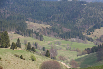 Naklejka premium Sweeping views over the tree lined and occasionally snowy valleys and hills of the Black forest around Badenweiler in southern Germany near the border with Switzerland at the heart of Europe