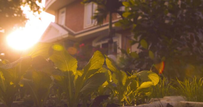 Family home, Property insurance. Family house in the rays of the sunset sun, a house at sunset, the sun shines through the trees. Symbol of home, happiness. Rural life concept. Dream of buying house
