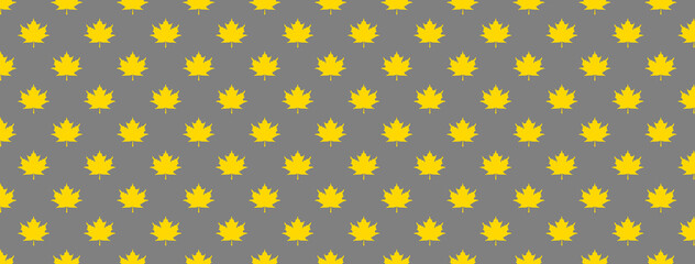 pattern of yellow maple leaves on a gray background. template for application to the surface. Horizontal image. Banner for insertion into site.