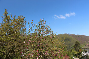 Sweeping views over the tree lined and occasionally snowy valleys and hills of the Black forest around Badenweiler in southern Germany near the border with Switzerland at the heart of Europe