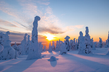 winter sunset in the mountains
