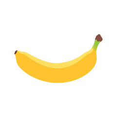 Ripe banana fruit. Colored banana fruit vector. Banana icon. Vector illustration