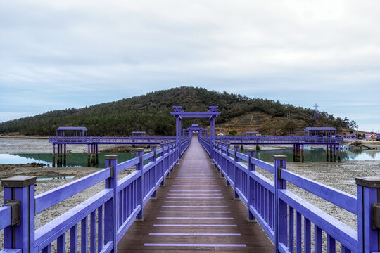 Sinan purple islands in winter
