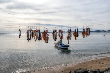Dried fish hanging