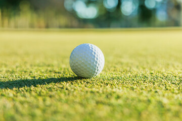 芝生が綺麗なゴルフ場のグリーン