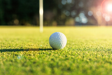 芝生が綺麗なゴルフ場のグリーン